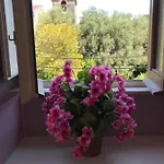 Beauty 3*